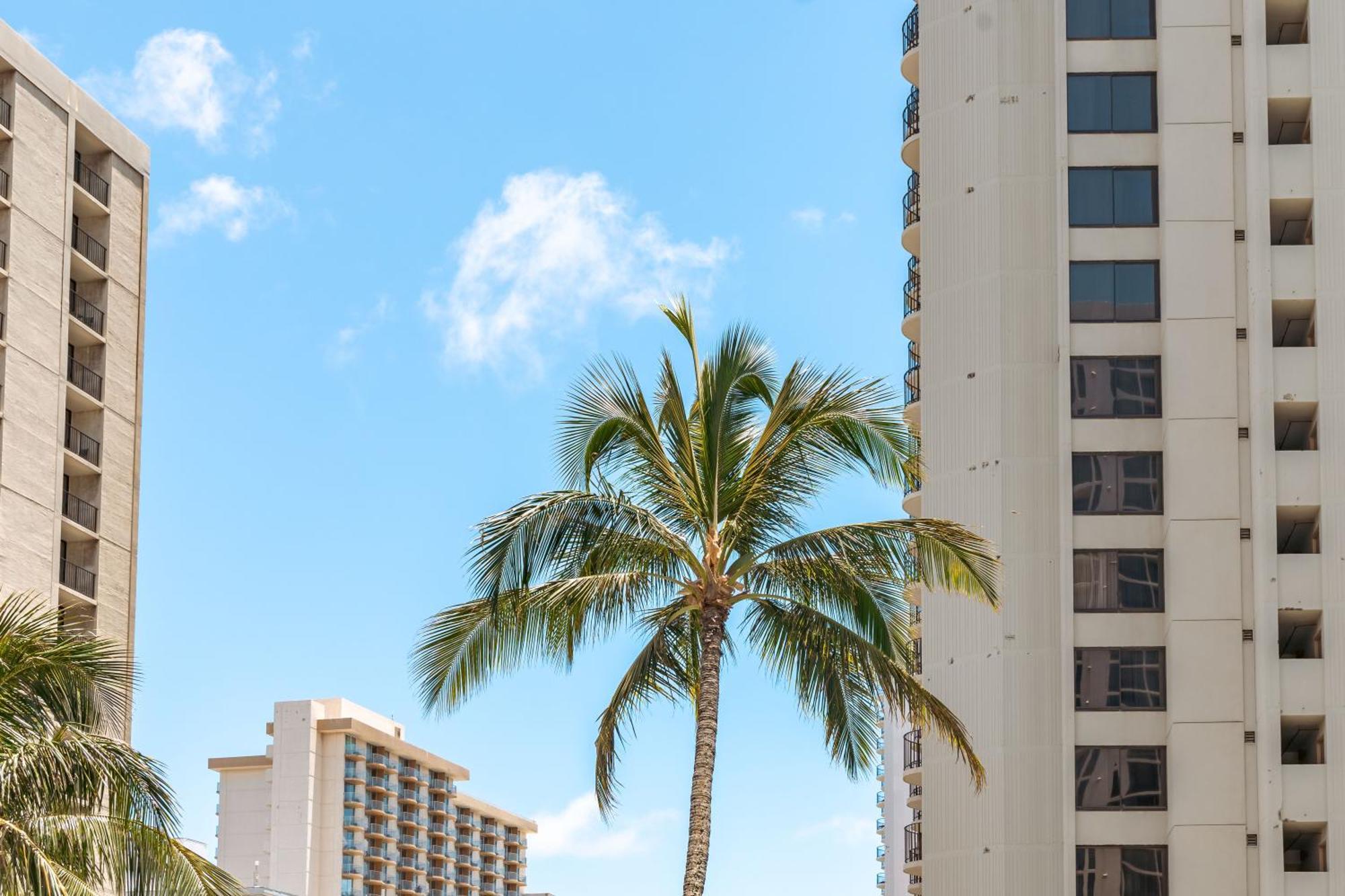 Tropical Retreat Near Waikiki Beach With Parking Apartment Honolulu Exterior photo